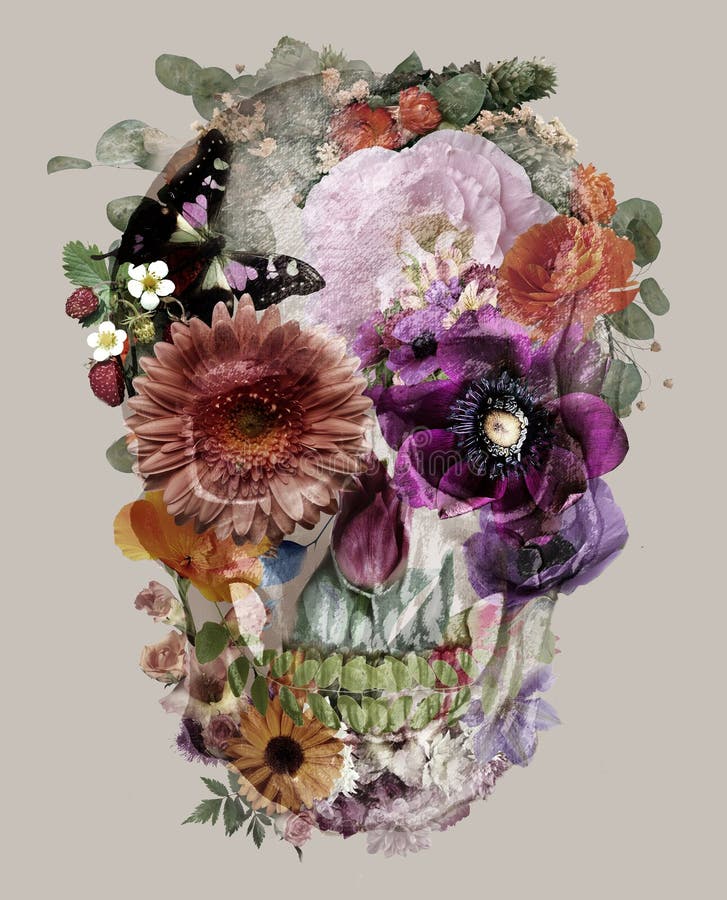 My Image 12