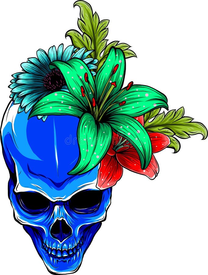 Human Skull and Flowers Vector Illustration Design Stock Vector Illustration of skeleton