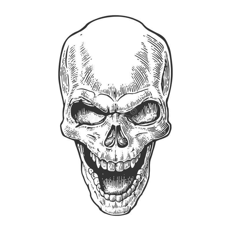 Skull human with a smile. 