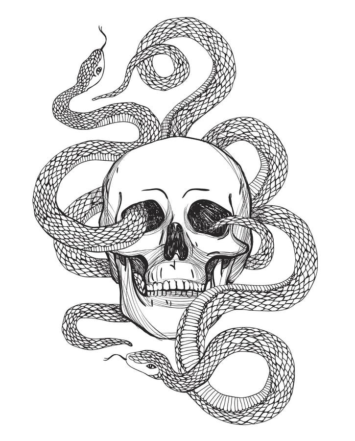 Skull And Snake. Vintage Vector Illustration Stock Vector