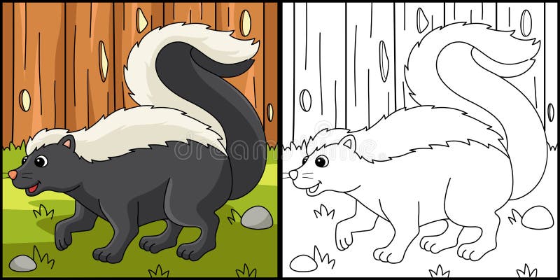 Skunk Animal Coloring Page Colored Illustration Stock Vector