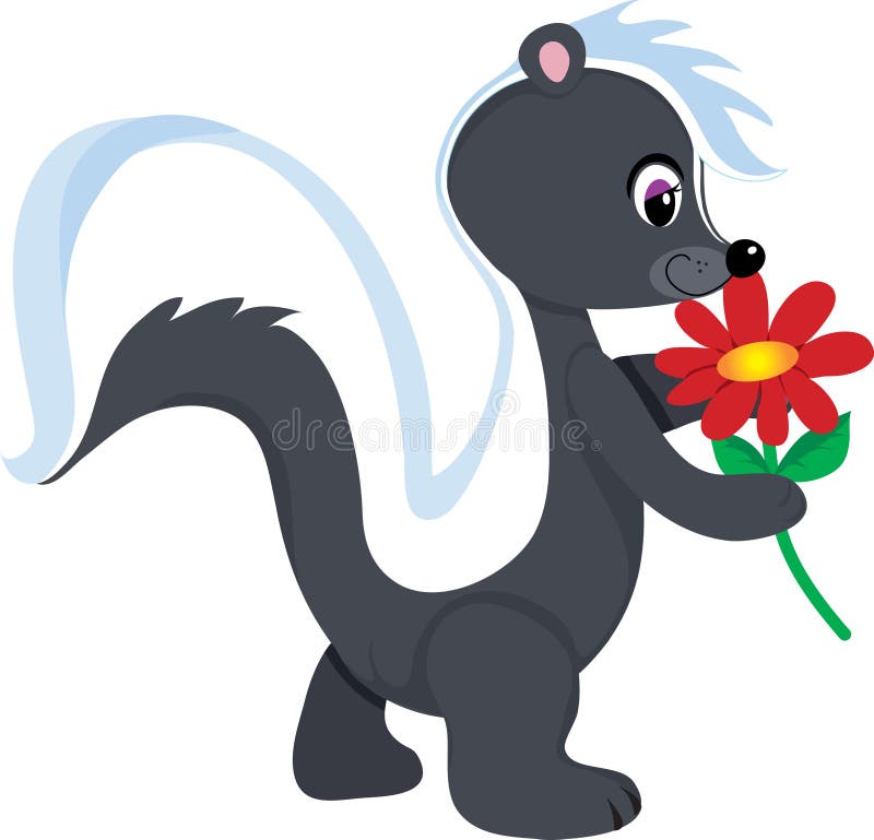 A cute little skunk holding a red flower. He's sniffing it and is smiling sweetly. Smiling skunk vectors