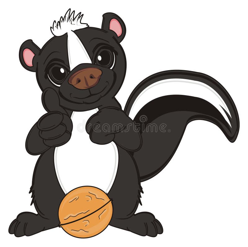 Smiling skunk stand and show gesture class near the nut. Smiling skunk illustrations