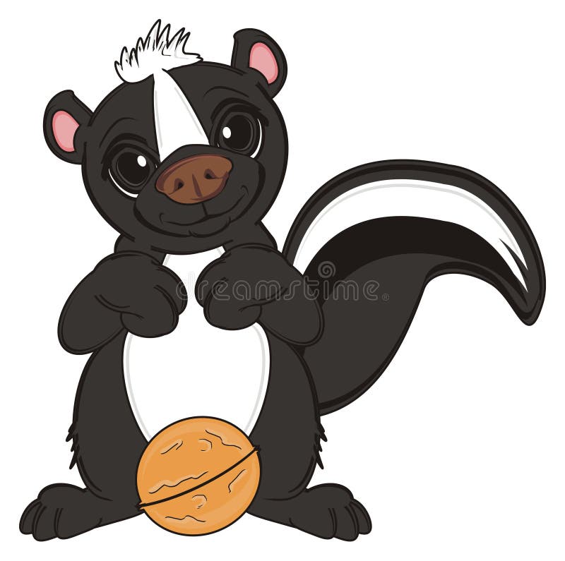 Smiling skunk stand with a nut. Smiling skunk illustrations