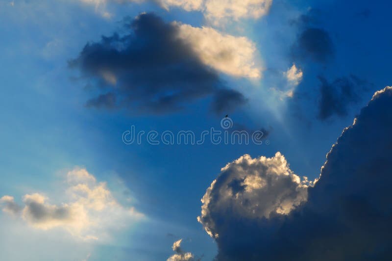 Download Sky stock image. Image of bright, summer, solitude, silhouette - 10605211