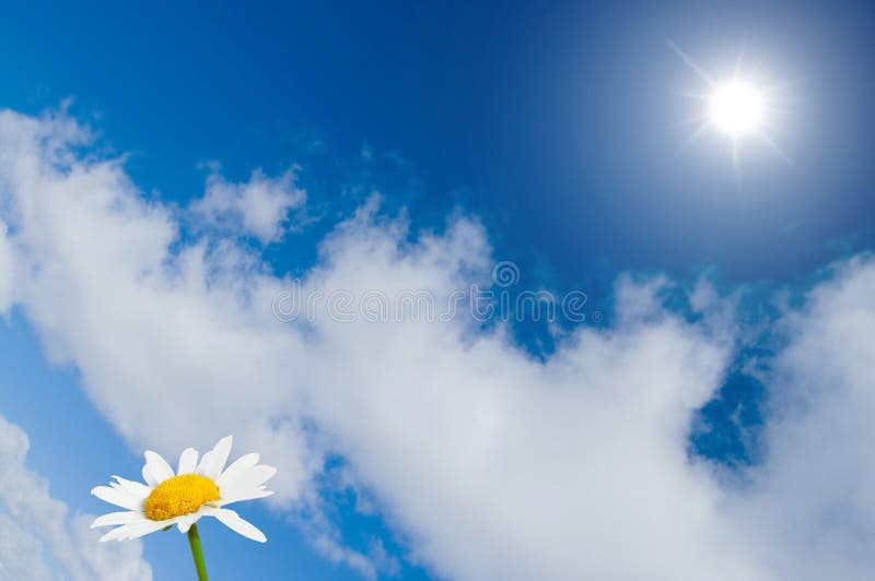 Beautiful blue sunny sky background