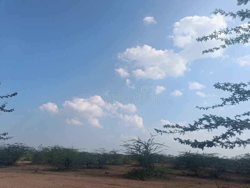 Sky with Clouds and Green Tree Feel Like Heaven Stock Image Image of
