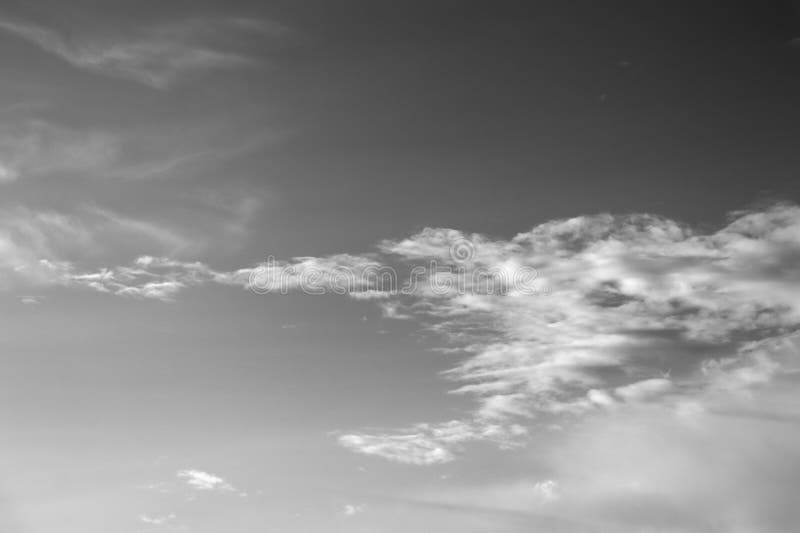Nature background 1916 royalty free stock photo