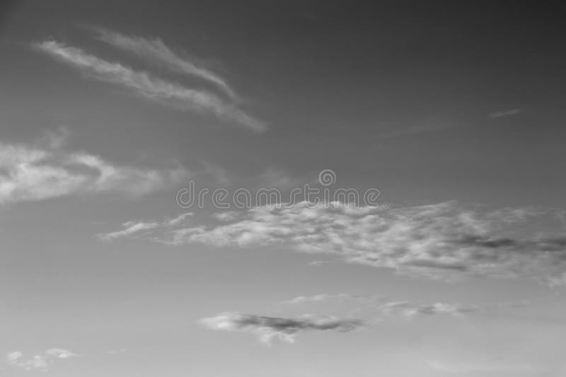 Nature background 1909 royalty free stock photo