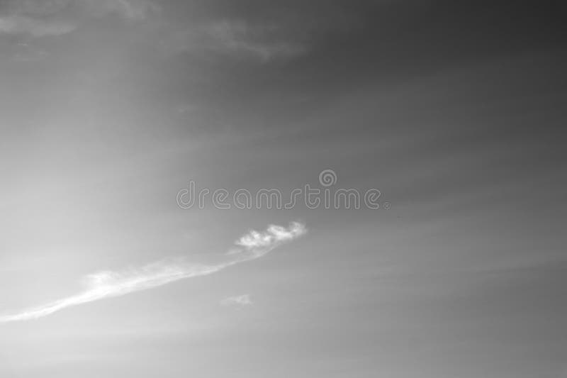 Nature background 1939 stock photography