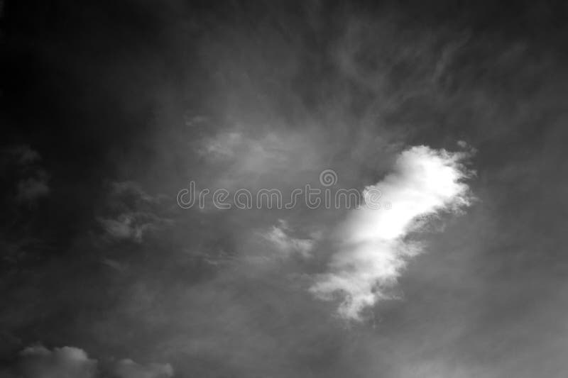 Nature background 1944 stock image