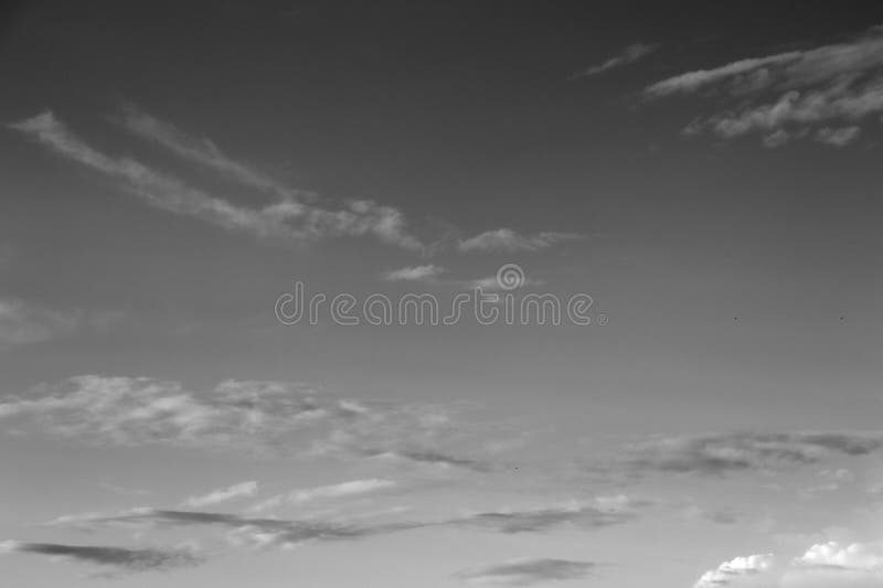 Nature background 1935 stock photo