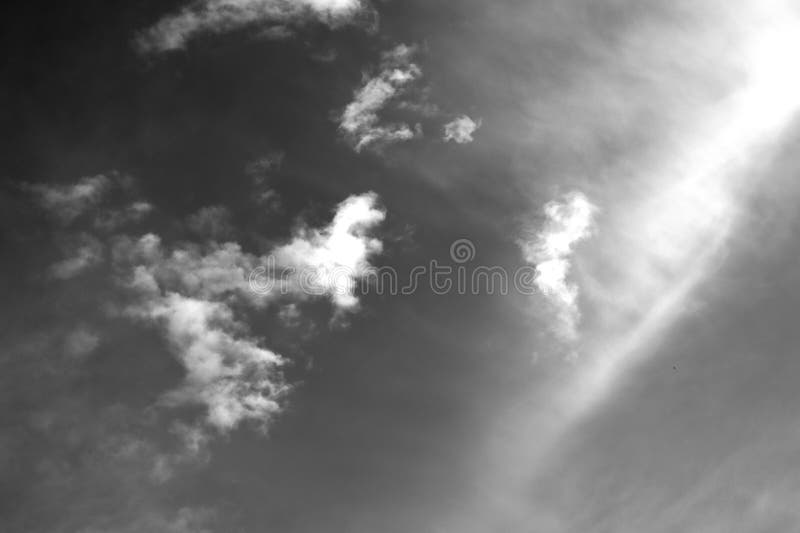 Nature background 1931 stock photography