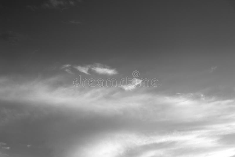 Nature background 1952 stock images
