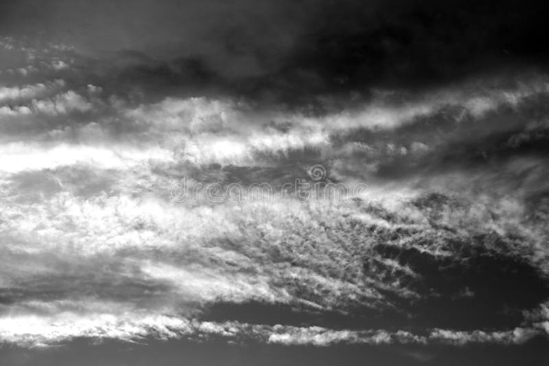 Nature background 1949 royalty free stock photography