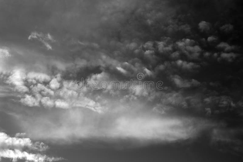 Nature background 1948 stock photography
