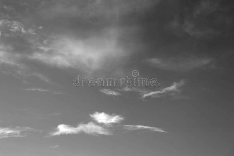 Nature background 1947 stock image