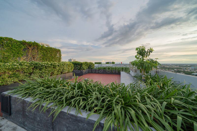 Sky garden on private rooftop of condominium or hotel, high rise architecture building with tree, grass field, and blue sky