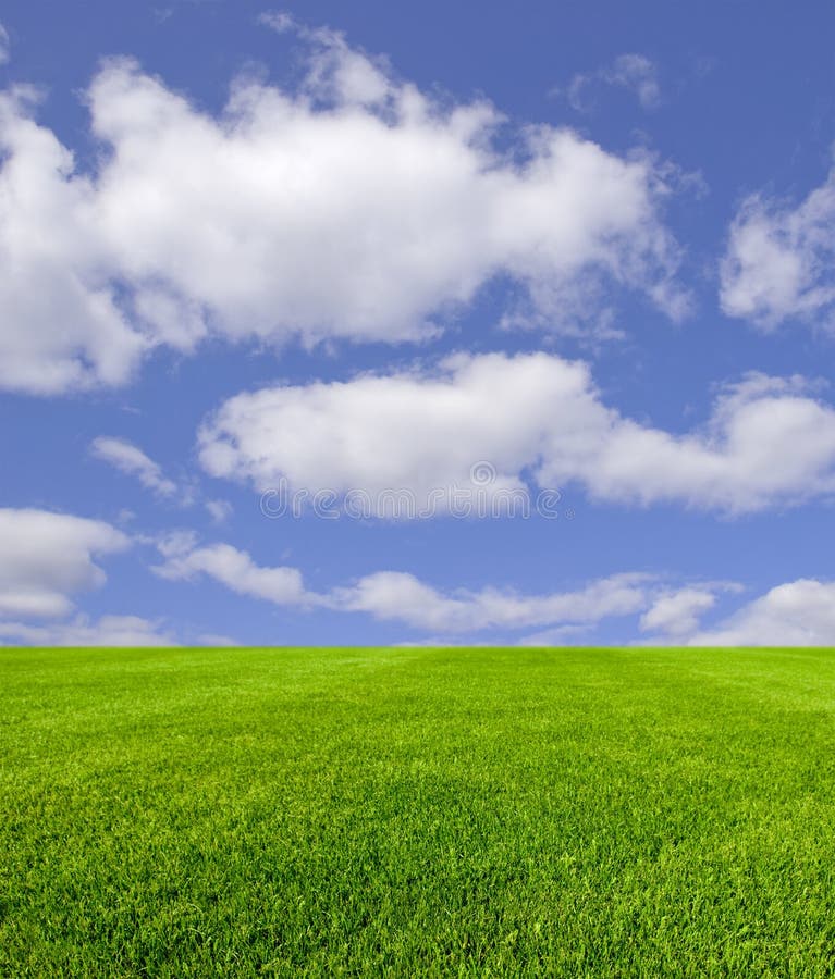 Distesa di cielo azzurro con nuvole bianche su campo d'erba.