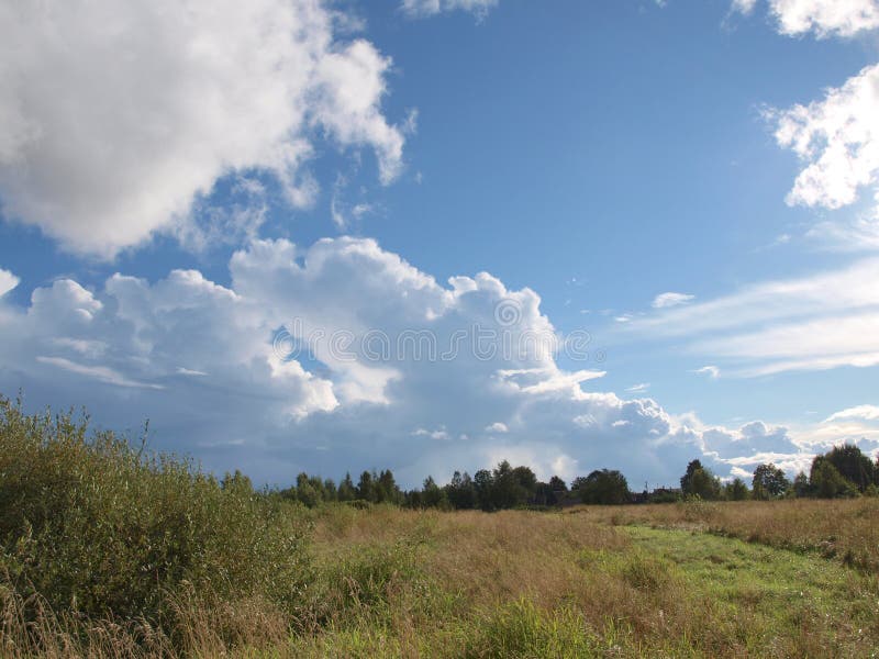 Sky and grass