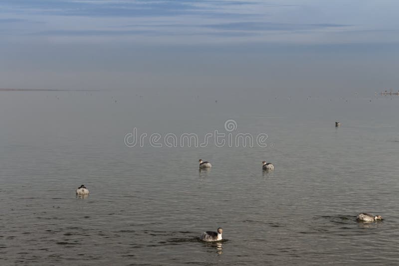 The sky is mixed with the waters of the side on the horizon royalty free stock image The sky is mixed with the waters of the side on the horizon royalty free stock image