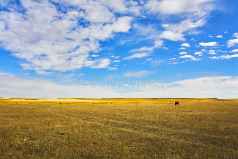 Grandioso el cielo de más alto Americano pradera en Octubre.