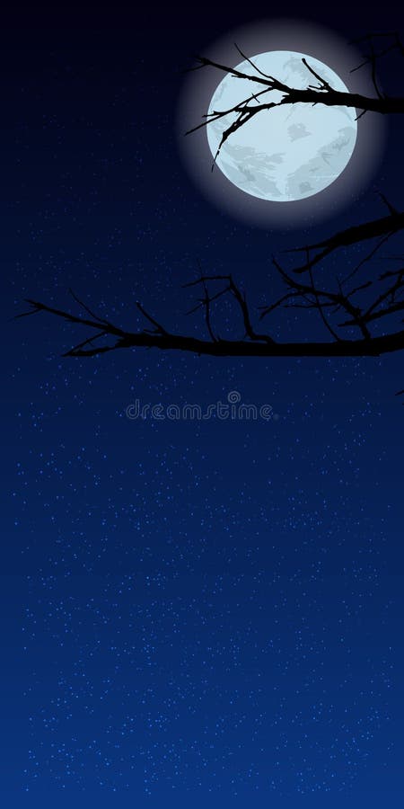 Sky Night with Moon Vertical Orientation Images Stock Illustration -  Illustration of magical, cold: 86000947