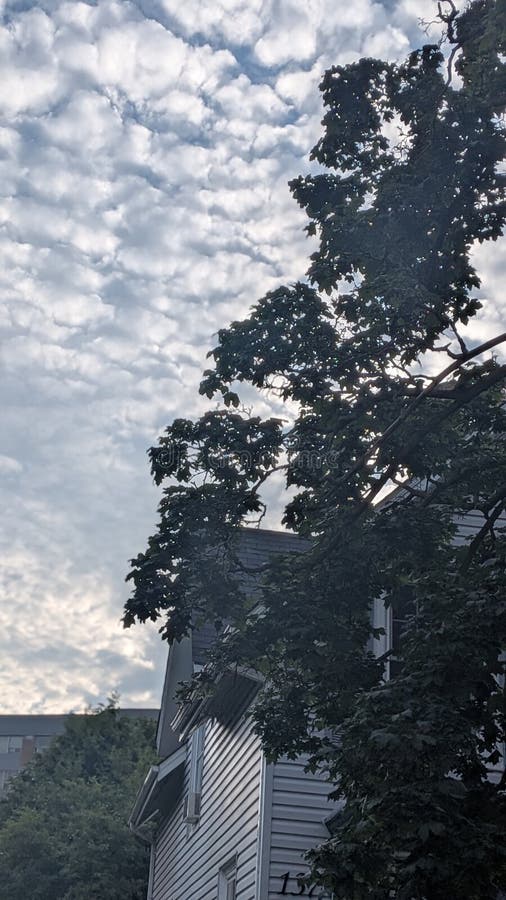 Sky tree house. Nature landcsape. Tree landcsape stock images, royalty-free photos and pictures