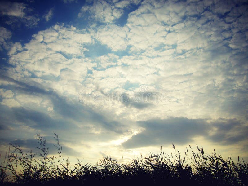 The sky is unlimited stock image. Image of field, unlimi 179556059