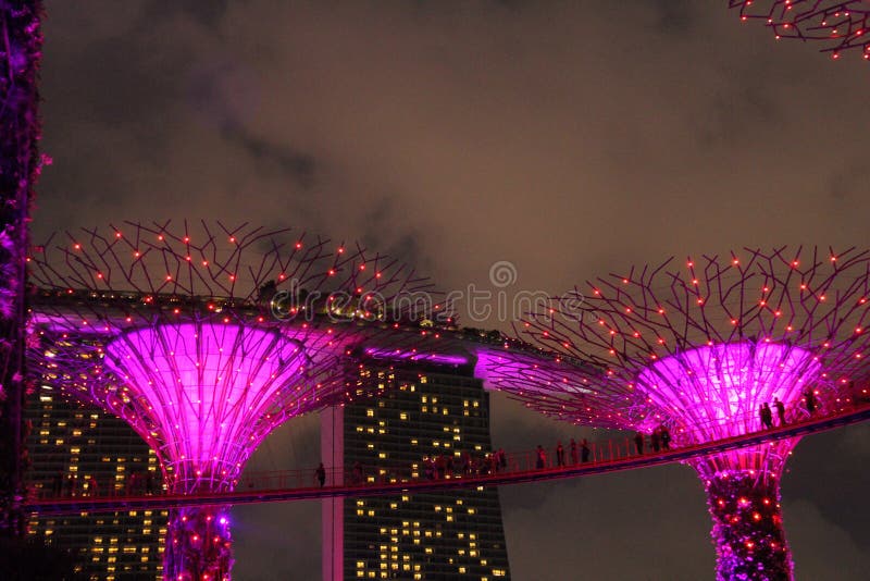 Illuminated Botanical Gardens by the Bay Singapore stock photography