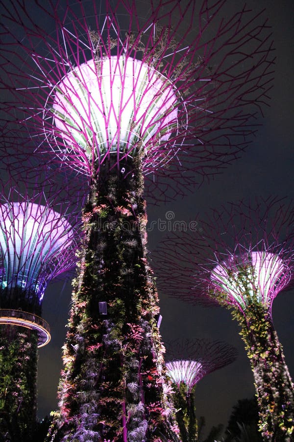 Illuminated Botanical Gardens by the Bay Singapore royalty free stock photos