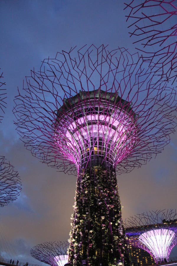 Illuminated Botanical Gardens by the Bay Singapore royalty free stock photography