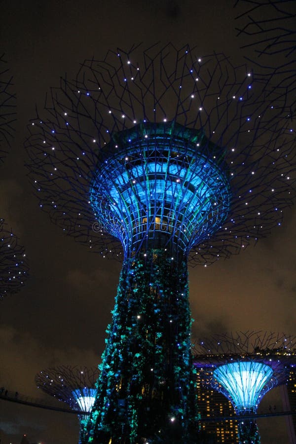 Illuminated Botanical Gardens by the Bay Singapore royalty free stock images