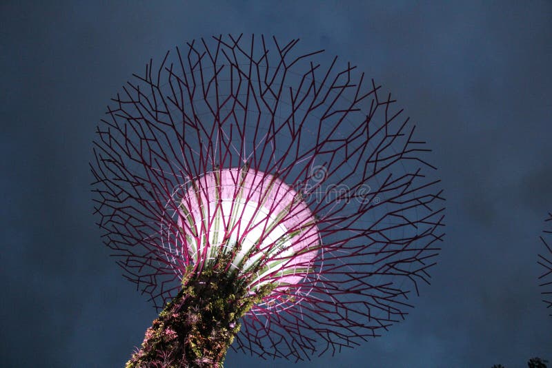 Illuminated Botanical Gardens by the Bay Singapore stock photos