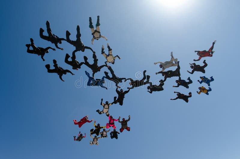 Skydiving people team work stock image