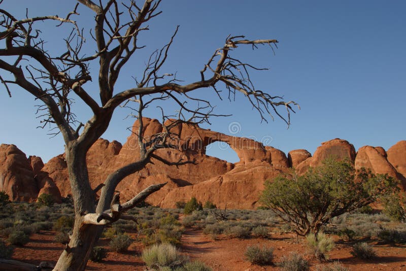 Skyline Arch