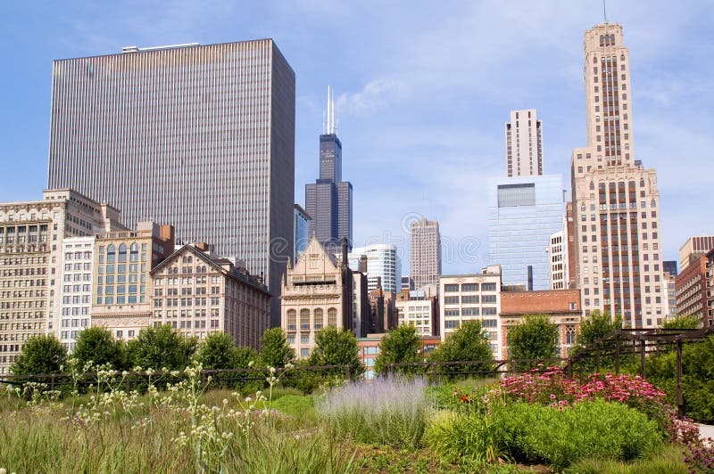 Chicago Skyline with Flowers Stock Photo Image of blossom, downtown