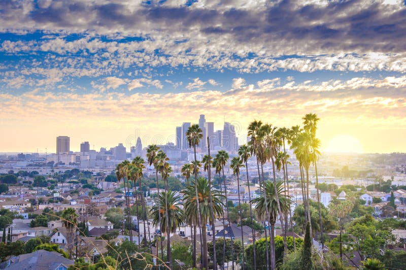 Beautiful sunset of Los Angeles downtown skyline and palm trees in foreground. Beautiful sunset of Los Angeles downtown skyline and palm trees in foreground