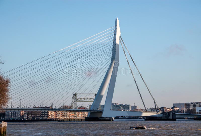 Skyline of Rotterdam, Erasmus bridge stock photography