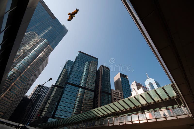 Skyscrapers in hongkong