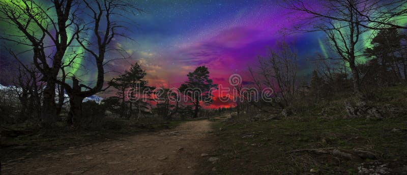 Skönhetnatur av norden i början av hösten arkivfoto Skönhetnatur av norden i början av hösten arkivfoto