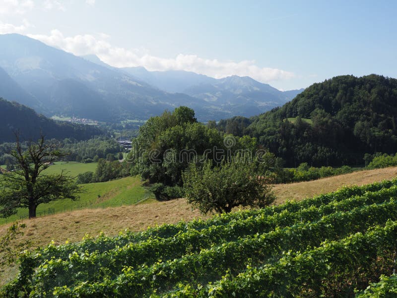 Skönhetpanorama med fjällängar på den européGruyeres staden i Schweiz på Augusti arkivbild Skönhetpanorama med fjällängar på den européGruyeres staden i Schweiz på Augusti arkivbild