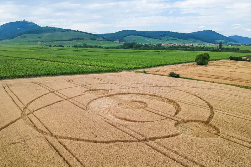 An image of crop circles field Alsace France. An image of crop circles field Alsace France