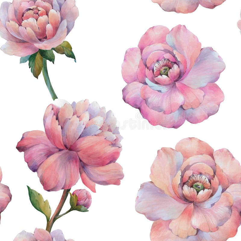 Sk?ad kwiaty peonia Bezszwowy akwarela wz?r kwiaty Botaniczny wz?r E royalty ilustracja Sk?ad kwiaty peonia Bezszwowy akwarela wz?r kwiaty Botaniczny wz?r E royalty ilustracja