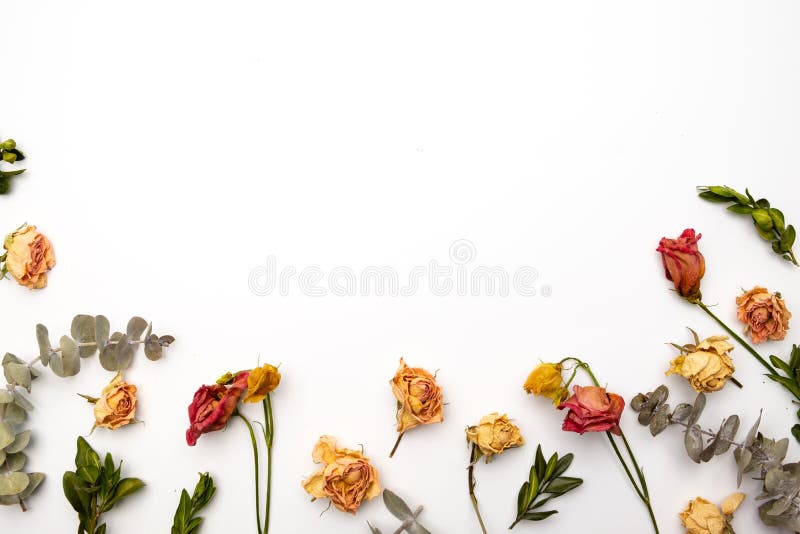 Skład suszonych kwiatów Rama z suszonej róży Płaskie nieba, widok z góry Jesienny wzór kwiatowy