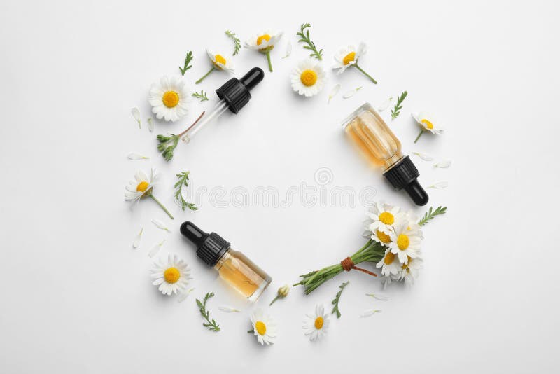 Skład z chamomile kwiatami i kosmetycznymi butelkami istotny olej na białym tle, odgórny widok