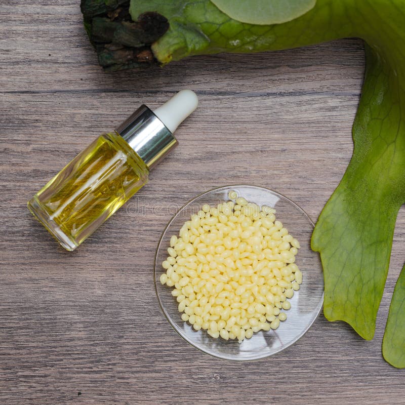 Candelilla Wax SP-75. Chemical ingredient for Cosmetics & Toiletries product. Candelilla Wax SP-75. Chemical ingredient for Cosmetics & Toiletries product.