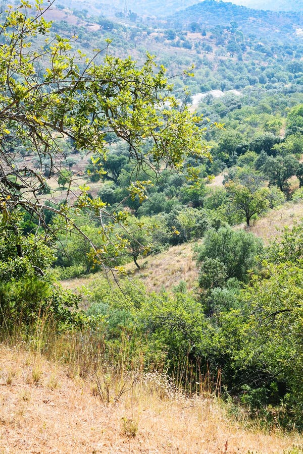 skłony Serra robią Caldeirao górom w Portugalia zdjęcia stock skłony Serra robią Caldeirao górom w Portugalia zdjęcia stock