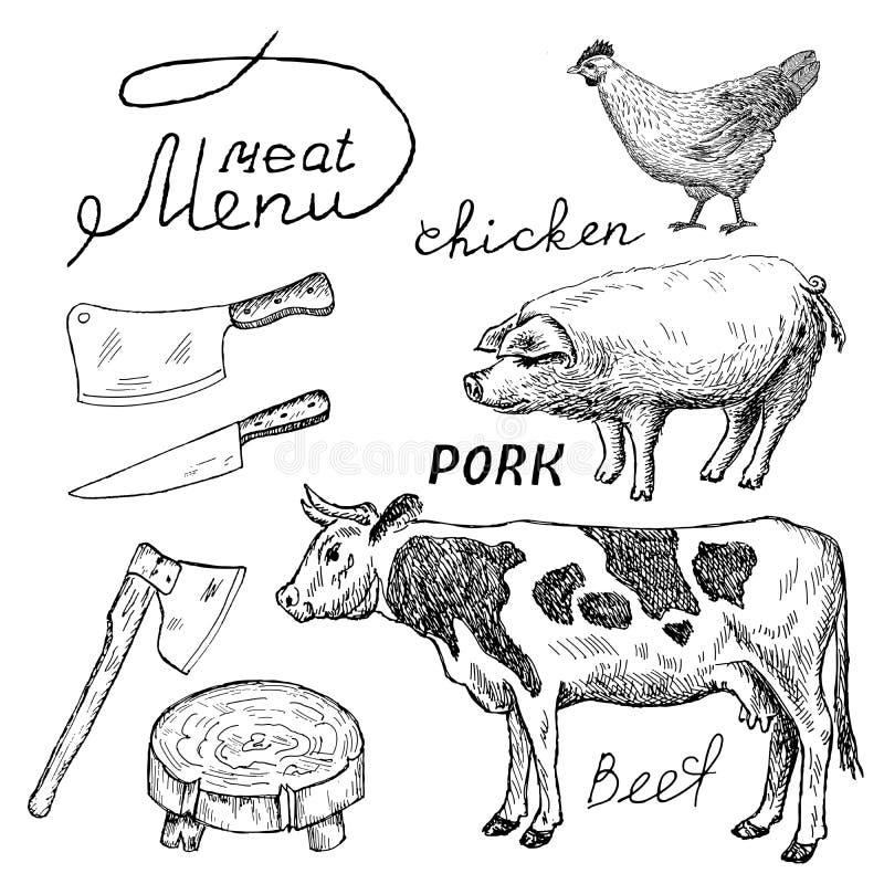 Slagerij vector illustratie