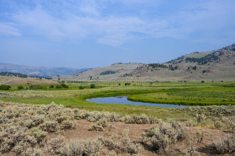 Slough Creek in a sagebrush landscape, Yellowstone National Park, USA. Slough Creek in a sagebrush landscape, Yellowstone National Park, USA